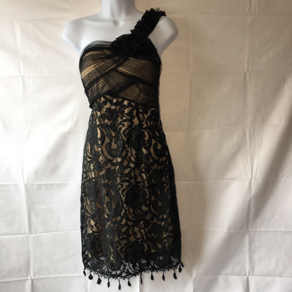 Ryu Anthropologie Vintage Lace One Shoulder Dress